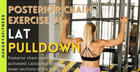 Image result for Multifidus Exercises