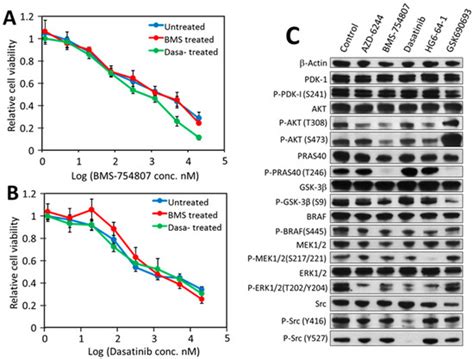 Cancers | Special Issue : Cancer Modeling and Network Biology