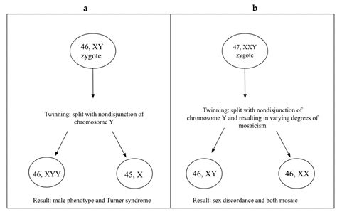 A Case of Sex Discordant Dichorionic Diamniotic Twins after Single ...