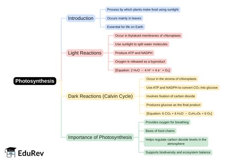 Mind Map: PDF Download