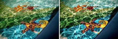 Image result for GIMP Basic Photo Editing