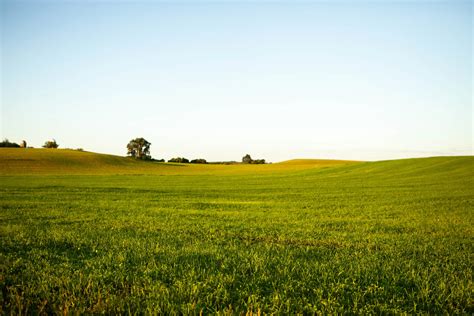 Thriving Farms: Build Biodiversity | Gather Wisconsin
