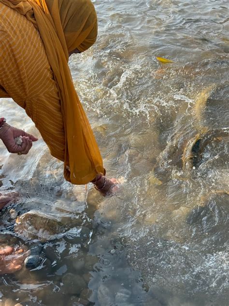 The Moon River: People’s Story of Chenab – SANDRP