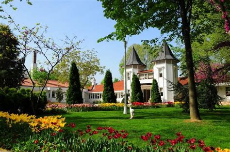 https://gezimanya.com/sites/default/files/styles/800x600_/public/gezilecek-yerler/2019-12/tesis-beykoz-koru-1-1024x680.jpg