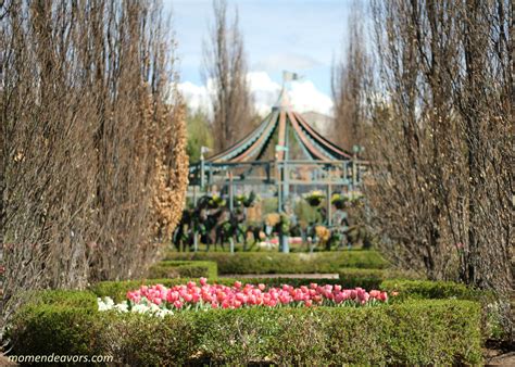 Tulips Festival Thanksgiving Point at Donald Mccann blog
