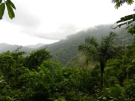 How To Get To Darien National Park at Corey White blog