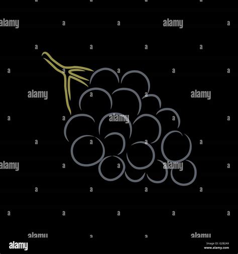 Colored outline of grape, vector illustration Stock Vector Image & Art - Alamy
