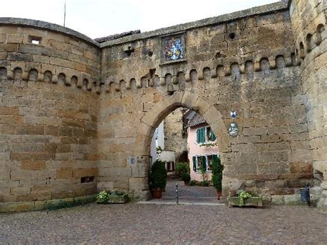 THE 5 BEST Places to Visit in Freinsheim (2025) - Must-See Attractions