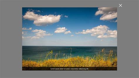 Image result for Visual Transition API CSS