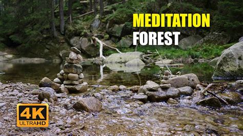 Image result for Water Stream Relaxation