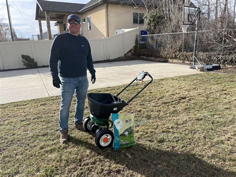 Revitalize Your Lawn! The Benefits and How-To-Of Overseeding – Lemon ...