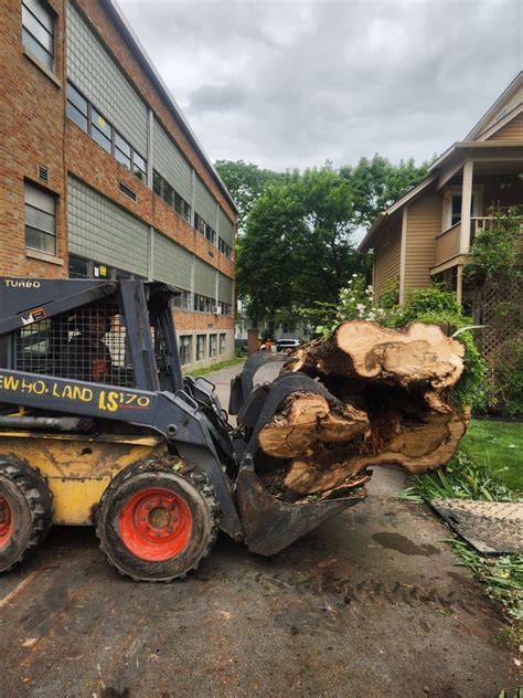 Image result for Tree Remval Tractor