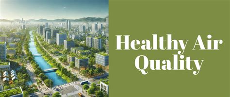 Proven Tip to Boost Healthy Air Quality & Improve Indoor Air – Grabenord