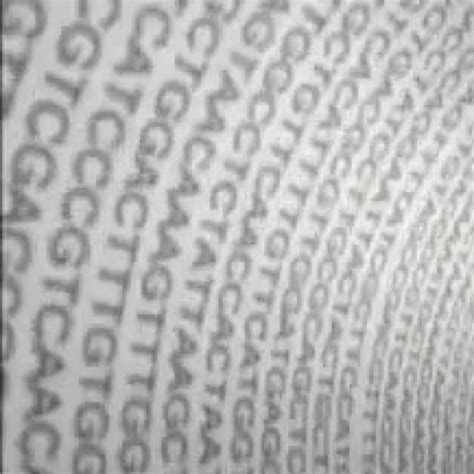 Image result for How to Program DNA