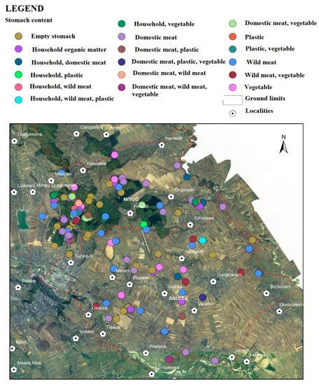 Research on the Ethology and Diet of the Stray Dog Population in the ...