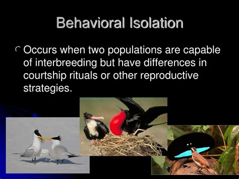PPT - Speciation PowerPoint Presentation, free download - ID:217510