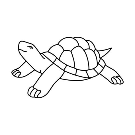 Image result for Empty Turtle Shell Drawung