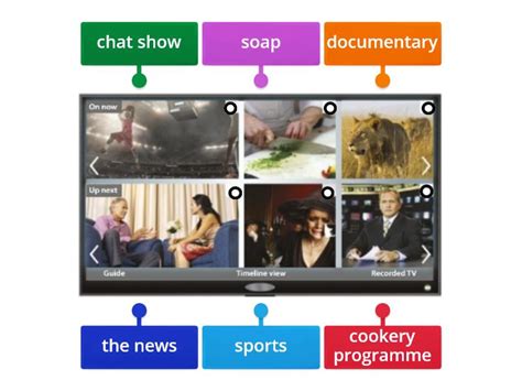 Image result for Different Types of Program Example