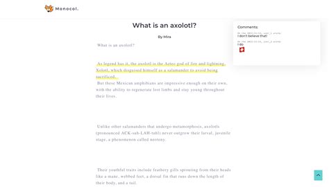 High-Tech Monocol 的图像结果