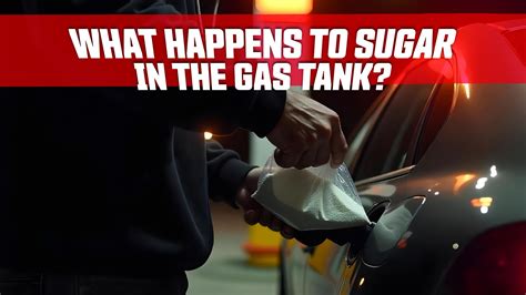 From Sugar To Cooking Oil, Here's What Happens When You Feed Your Car ...