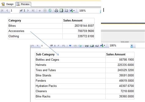 SSRS 2012 Tutorial 的图像结果