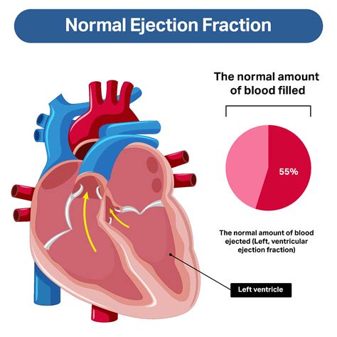 What is Heart Failure? Our Heart Hub