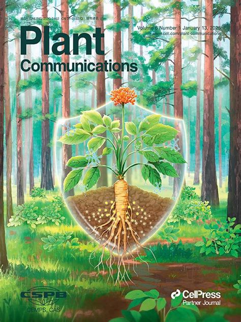 Management Science Cover 的图像结果