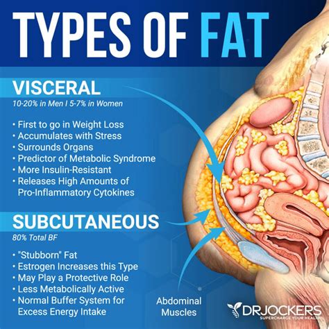 Visceral Fat: What It Is and Why It Matters - Health Blog Centre Info