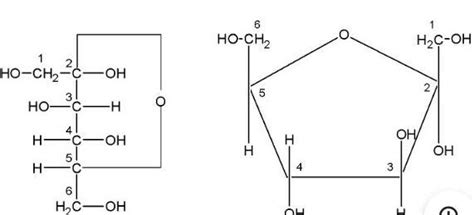 Draw the structures of Harworth projection formula of fructose ...
