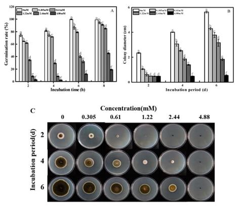 2-Phenylethyl Isothiocyanate Exerts Antifungal Activity against ...