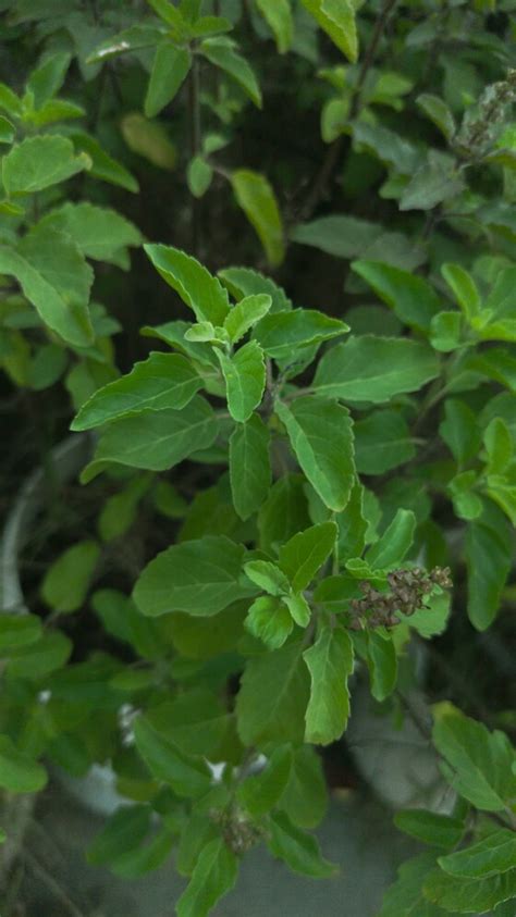 Lifestyle News (लाइफस्टाइल न्यूज़) in Hindi, Fashion News, वीडियो और ...