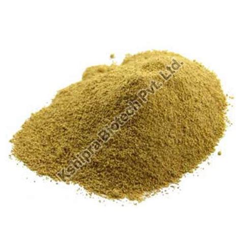 Acorus Calamus Dried Extract Manufacturer, Supplier from Indore