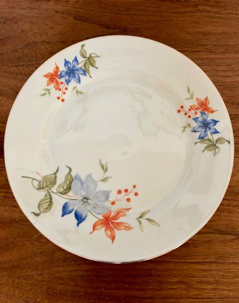 China Plates 的图像结果
