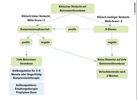 Angiologische Notfälle - Kardiologie & Gefässmedizin - Universimed ...