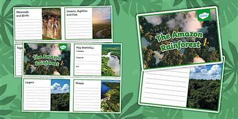 Amazon Rainforest Fact Cards Template Twinkl