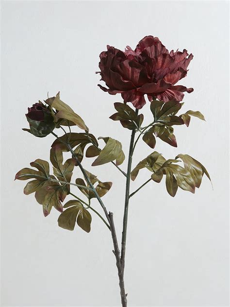 Buy Westside Home Dark Red Large Artificial Peony from Westside