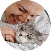 Kitten Care | WHISKAS IN