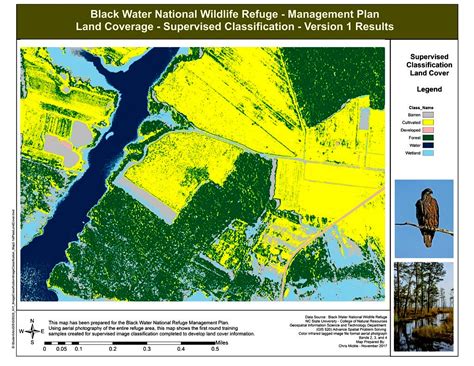 Image Classification Tutorial 的图像结果