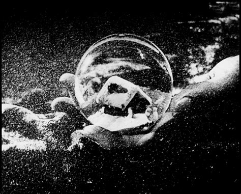 Snow Globe 的图像结果