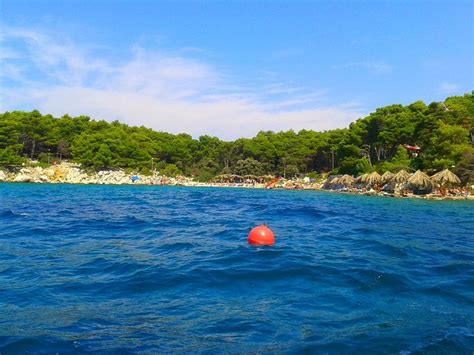 HOUSE MACA (Palit) - Lodging Reviews & Photos - Tripadvisor