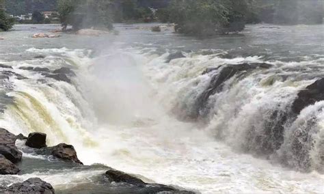 Hogenakkal falls travel adivsory: No tourists allowed amid rising water ...