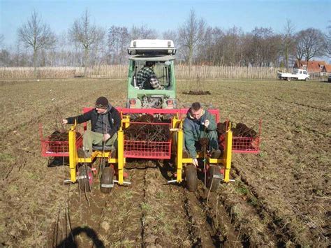 Image result for Small Tree Planting Machine