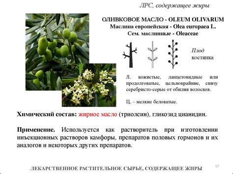 Лекарственное растительное сырье, содержащее жиры - презентация онлайн