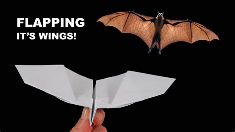 Tutorial Bat Paper Plane 的图像结果