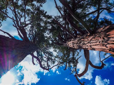 Lake Tahoe: Ein himmlischer Spiegel in der Sierra Nevada - Travellizy