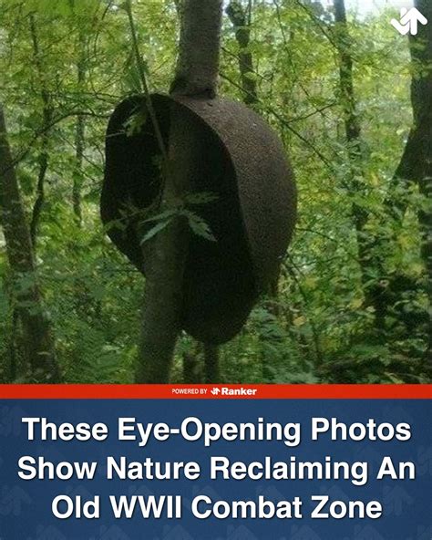 Weird History - Weird History added a new photo.