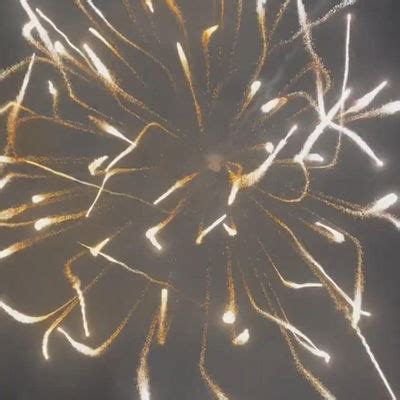 Image result for Display Shell Fireworks