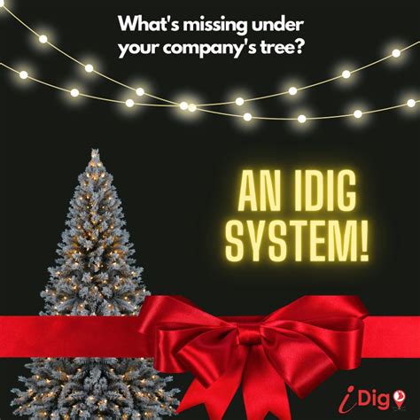 Using Idig 的图像结果