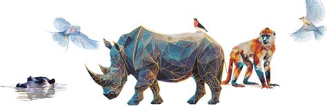 Image result for Wilcom Embroidery Software Images