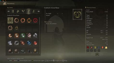 I managed to collect all 7 Great Runes on my completely unleveled ...